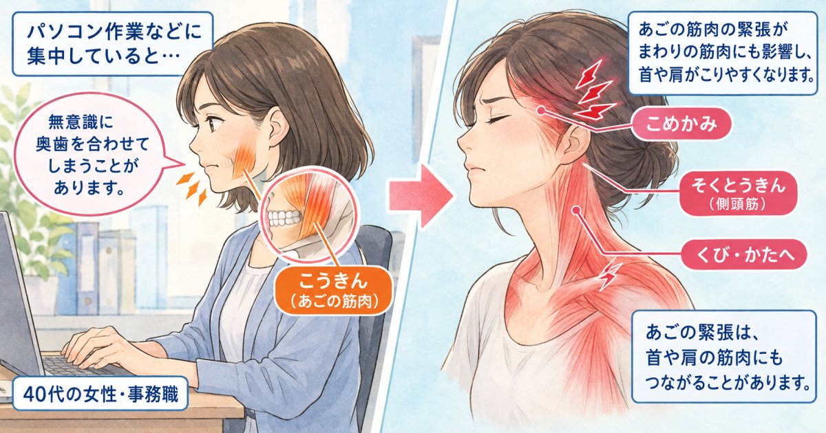 なぜ噛み合わせの不調が肩こりや頭痛を引き起こすのか